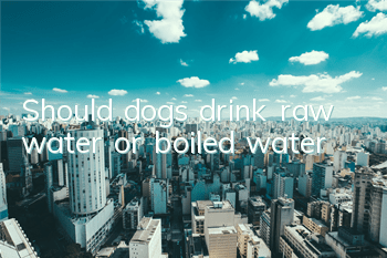Should dogs drink raw water or boiled water?