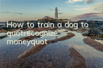 THow to train a dog to "recognize money"?
