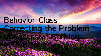 Behavior Class | Correcting the Problem of Excessive Barking in Pet Dogs