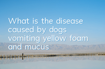 What is the disease caused by dogs vomiting yellow foam and mucus?