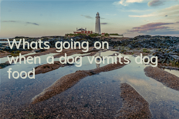 What's going on when a dog vomits dog food?