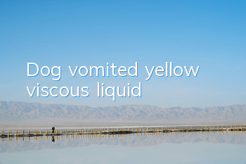Dog vomited yellow viscous liquid