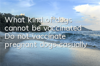 What kind of dogs cannot be vaccinated? Do not vaccinate pregnant dogs casually
