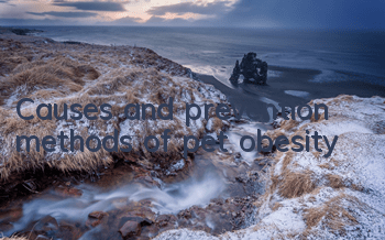 Causes and prevention methods of pet obesity
