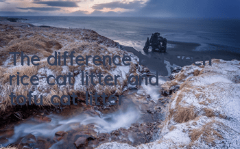 The difference between rice cat litter and tofu cat litter