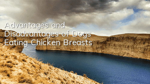 Advantages and Disadvantages of Dogs Eating Chicken Breasts