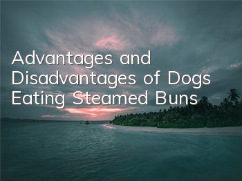 Advantages and Disadvantages of Dogs Eating Steamed Buns