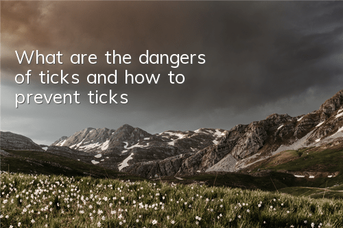 What are the dangers of ticks and how to prevent ticks