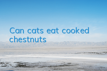Can cats eat cooked chestnuts?