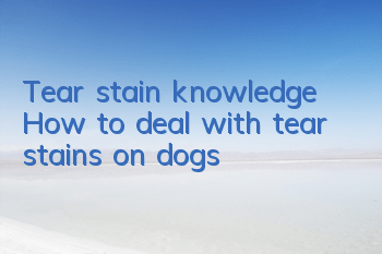 Tear stain knowledge | How to deal with tear stains on dogs