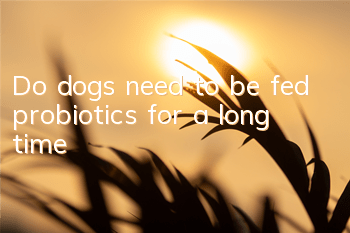 TDo dogs need to be fed probiotics for a long time?