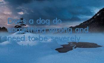TDoes a dog do something wrong and need to be severely punished?