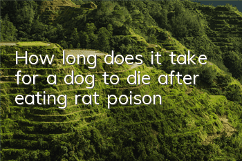 How long does it take for a dog to die after eating rat poison?