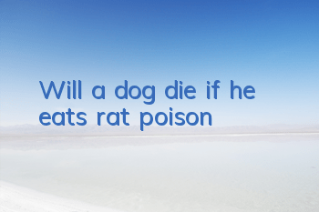 Will a dog die if he eats rat poison?
