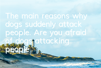 The main reasons why dogs suddenly attack people. Are you afraid of dogs attacking people?