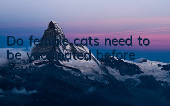 Do female cats need to be vaccinated before neutering?