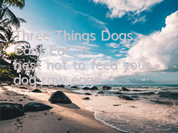 Three Things Dogs Can’t Eat It’s best not to feed your dog raw eggs