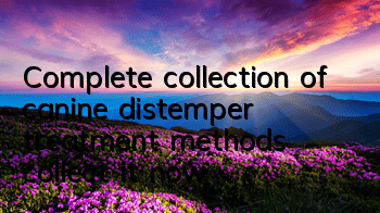 Complete collection of canine distemper treatment methods, collect it now!