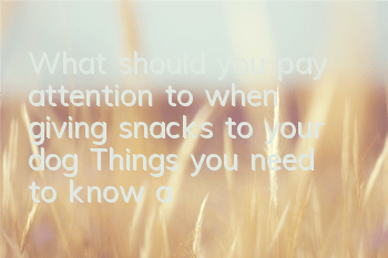 What should you pay attention to when giving snacks to your dog? Things you need to know about eating snacks