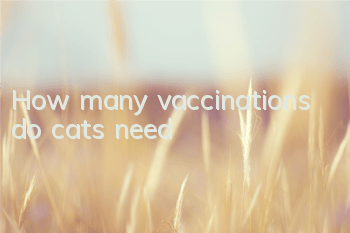 How many vaccinations do cats need?
