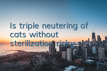 Is triple neutering of cats without sterilization risky?