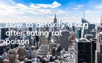 How to detoxify a dog after eating rat poison