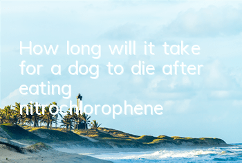 How long will it take for a dog to die after eating nitrochlorophene?