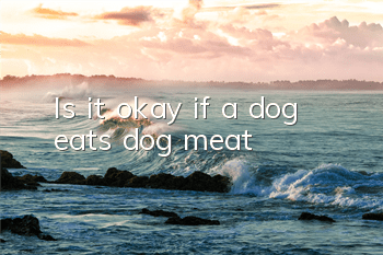 Is it okay if a dog eats dog meat?