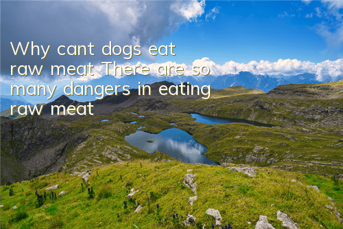 Why can’t dogs eat raw meat? There are so many dangers in eating raw meat