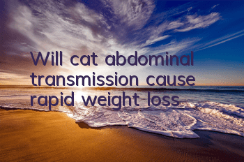 Will cat abdominal transmission cause rapid weight loss?