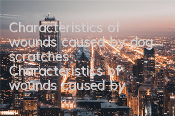 Characteristics of wounds caused by dog ​​scratches Characteristics of wounds caused by dog ​​scratches