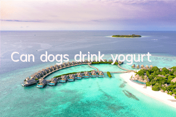 Can dogs drink yogurt?
