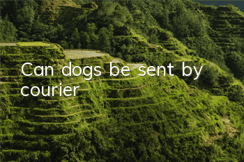 Can dogs be sent by courier?