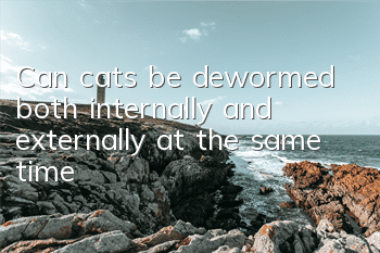 Can cats be dewormed both internally and externally at the same time?