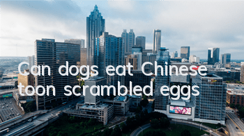 Can dogs eat Chinese toon scrambled eggs?