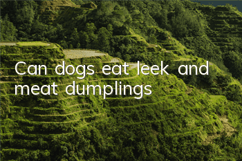 Can dogs eat leek and meat dumplings?