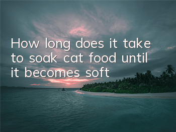 How long does it take to soak cat food until it becomes soft?