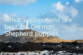 What vaccinations are best for German Shepherd puppies?