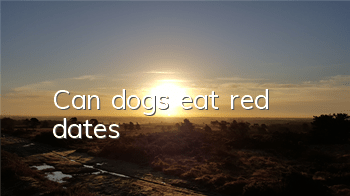 Can dogs eat red dates?