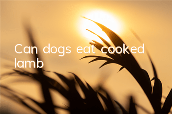 Can dogs eat cooked lamb?