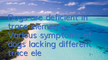 Dogs are deficient in trace elements. Various symptoms of dogs lacking different trace elements.