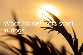 TWhat causes soft stool in dogs?