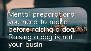 Mental preparations you need to make before raising a dog. Raising a dog is not your business alone.