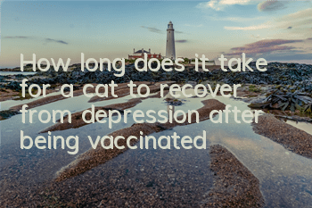 How long does it take for a cat to recover from depression after being vaccinated?