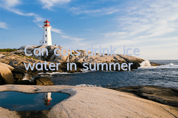 Can cats drink ice water in summer?