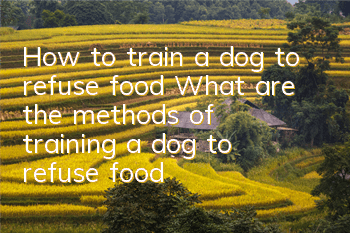 THow to train a dog to refuse food? What are the methods of training a dog to refuse food?
