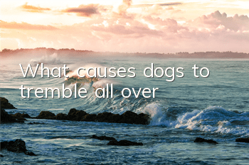What causes dogs to tremble all over?
