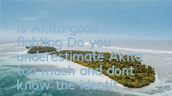 Is Akita good at fighting? Do you underestimate Akita too much and don’t know the identity behind it?