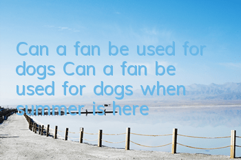 Can a fan be used for dogs? Can a fan be used for dogs when summer is here?