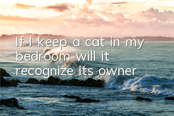 If I keep a cat in my bedroom, will it recognize its owner?